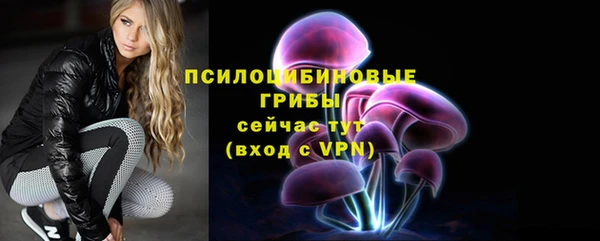 mdpv Армянск