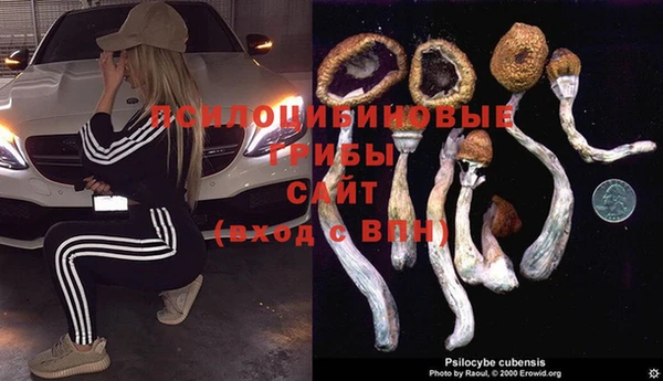 крисы Балабаново