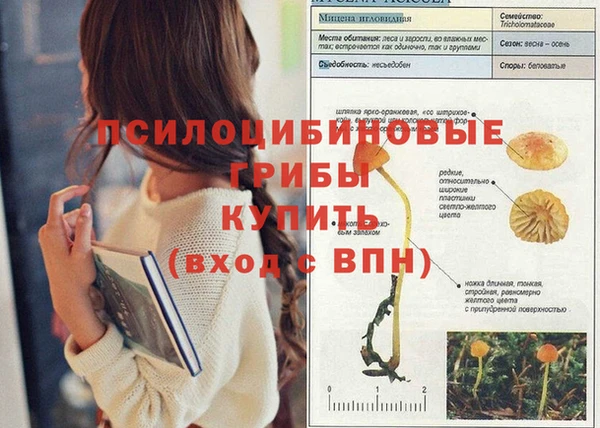 а пвп мука Аркадак