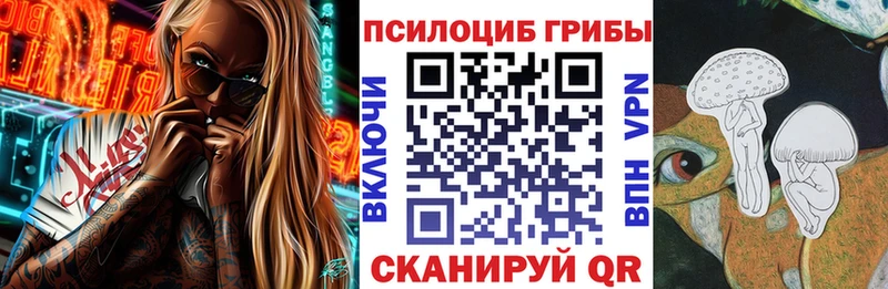 купить  цена  Орлов  Псилоцибиновые грибы прущие грибы 